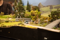 IMG_5459