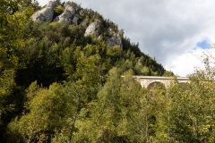 MG_4387